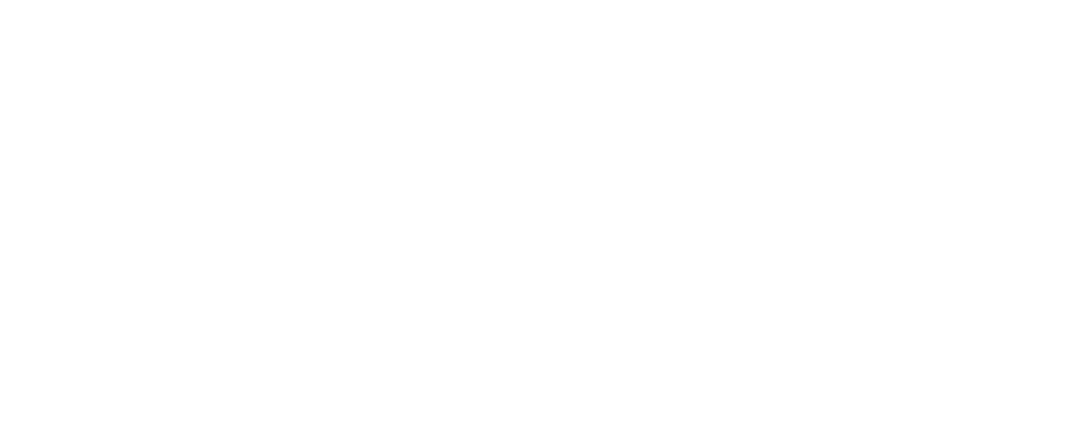 Ritz Car Rental & Tours